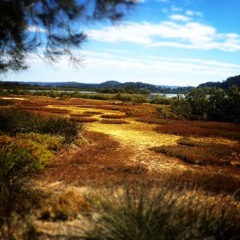 Awareness of breathing - 18 Min