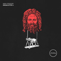 Many Reasons - Dream After (Original Mix) [Phobiq]
