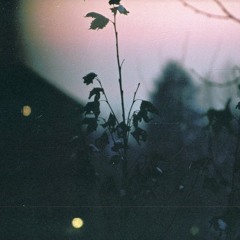 You Are My Sunshine (Music Box Version)