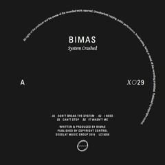 Bimas - Don't Break The System (snippet)