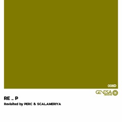 RE P - Symmetry Between Observers (Scalameriya Remix)