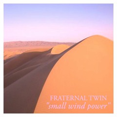 Fraternal Twin - Small Wind Power
