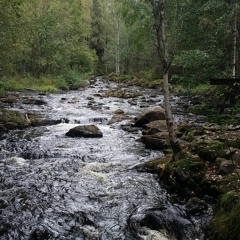 Vastanasta Diskolisko