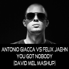 Antonio Giacca vs Felix Jaehn - You Got Nobody (DAVID MEL MASHUP)