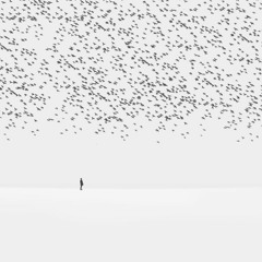 Jurel Sónico - El blanco ya no es un color