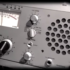 I'm Sane - Jacob Brody