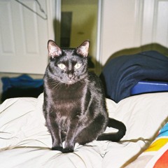 a liar and a cool guy