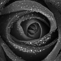 Kameez Teri Kali (Talal Qureshi Remix)