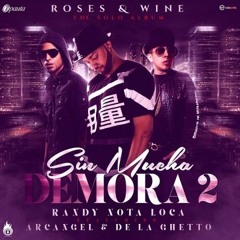 Sin Mucha Demora 2 - Randy Ft. Arcangel & De La Ghetto