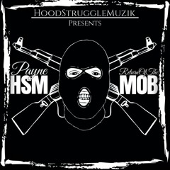 SalviHSM-thoughts in my head (ft.PayneHSM)