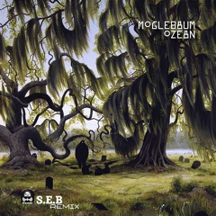 [EMR0010] Moglebaum - Ozean (S.E.B Remix)