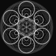 Dynamicali - Flower Of Life
