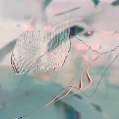 CALAPSE - Forget That