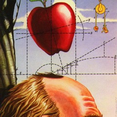 Gravity Law