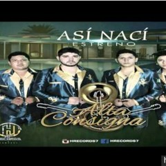 Alta consigna asi naci estreno 2015 -2016