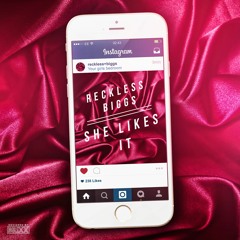 Reckless & Biggs - She Likes It