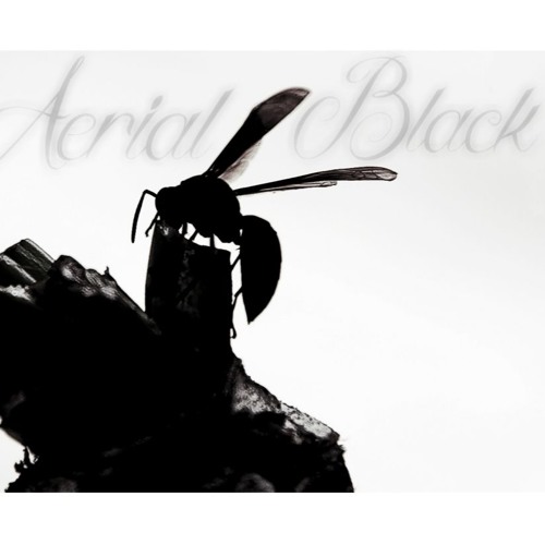 Gaharaiden - Aerials Black (Short Version)