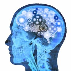 Semantic Abnormality