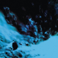 aldenwels - courtmis