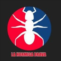 La Hormiga Brava - Los Compadres (2015)