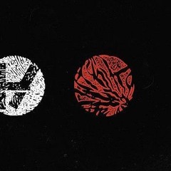 Twenty One Pilots  Tear In My Heart  Acoustic