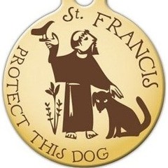 "Sweet Francis" by Mike Doughty