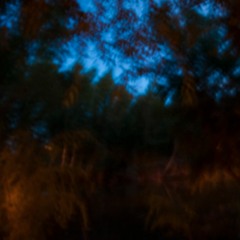 Laura Palmer Theme