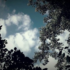 _-THREE by MARTIN LENKER-_