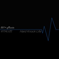 Hard Knock Life (FLINT Remix)