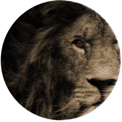 DILLARD - LION