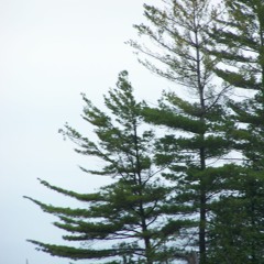 Hotline Bling - Drake (cover)