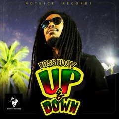 BOSS BLOW - DOWN & UP