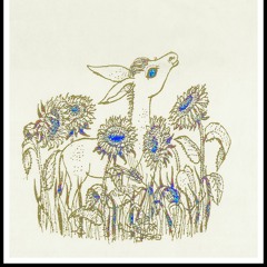 Grind Disco - Mexican Vac - 2006