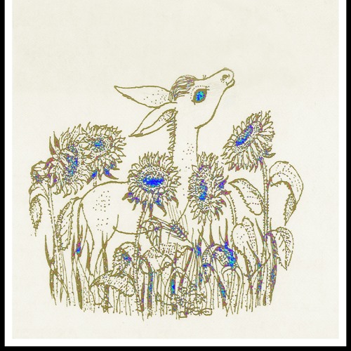 Grind Disco - Mexican Vac - 2006