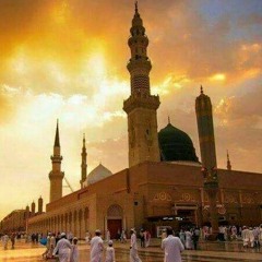 مقتطفة من قصيدة الهيمان من شعر عبدالله / صلاح الدين القوصي إنشاد الدكتور عبدالعزيز سلام