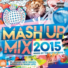 Mash Up Mix 2015 Minimix