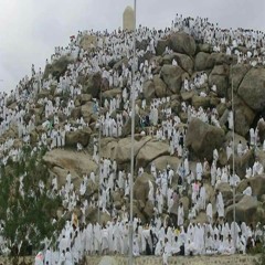 مقتطفة من قصيدة الرحيل باب السؤال والشفاعة من شعر عبدالله / صلاح الدين القوصي إنشاد الدكتور عبدالعزيز سلام  #أحب_محمدا    #عش في أنوار شفاعة الشفيع المرتضي