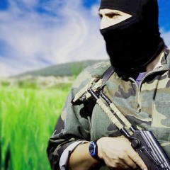 خذوا قلباً تحجر كالحديدِ