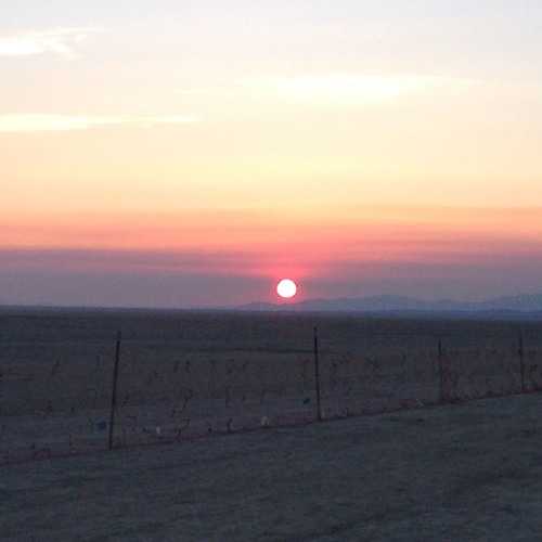 Mojo D Live At Burning Man 2015 - IAMU