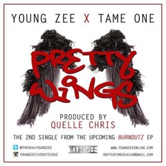 Young Zee & Tame One - Pretty Wings (Produced by Quelle Chris)