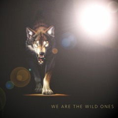 diegar - We Are The Wild Ones