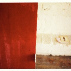 Nine Inch Nails - The New Flesh (Vinyl)