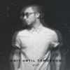 Wait Until Tomorrow (Prince Fox V.I.P.)