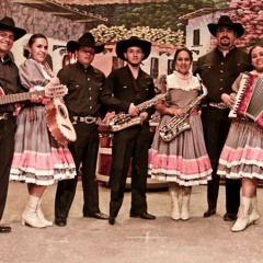 Viva Linares (Los Arrieros Música Tradicional Mexicana)