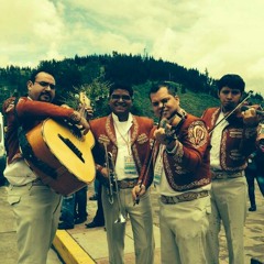 El Becerrillo (Los Arrieros Música Tradicional Mexicana)