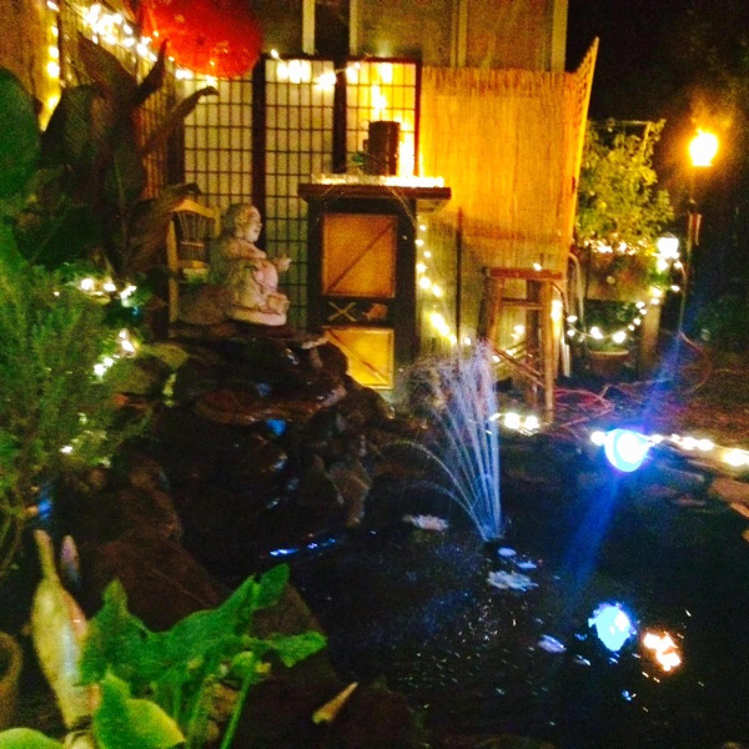Chez Robert Ryan Sanchez