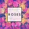 THE CHAINSMOKERS - ROSES (TELYKast X SOKKO & LYONS REMIX)