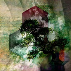 B2 - Hallucinogenic Horses - Epiphany In The Periphery - [ PROMO CUT ]