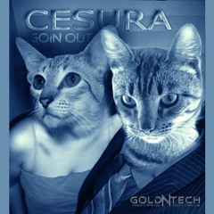 GOIN OUT (Original Mix) demo version