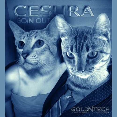GOIN OUT (Original Mix) demo version
